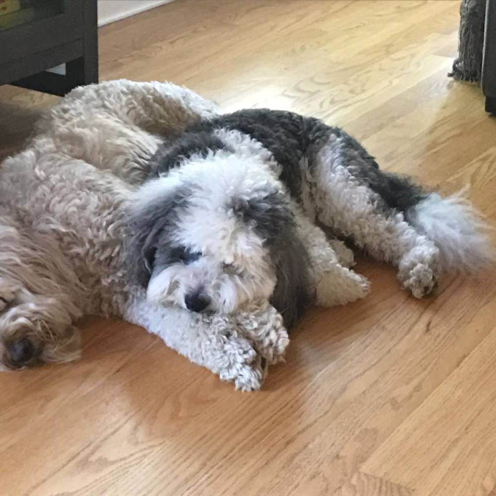 Meet your Posher, Pam